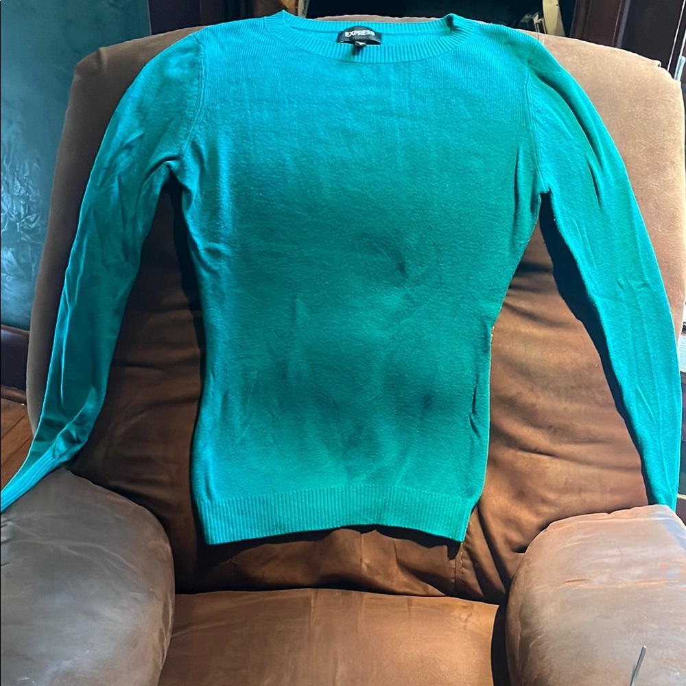 Express Blue Crew Neck Fitted Sweater